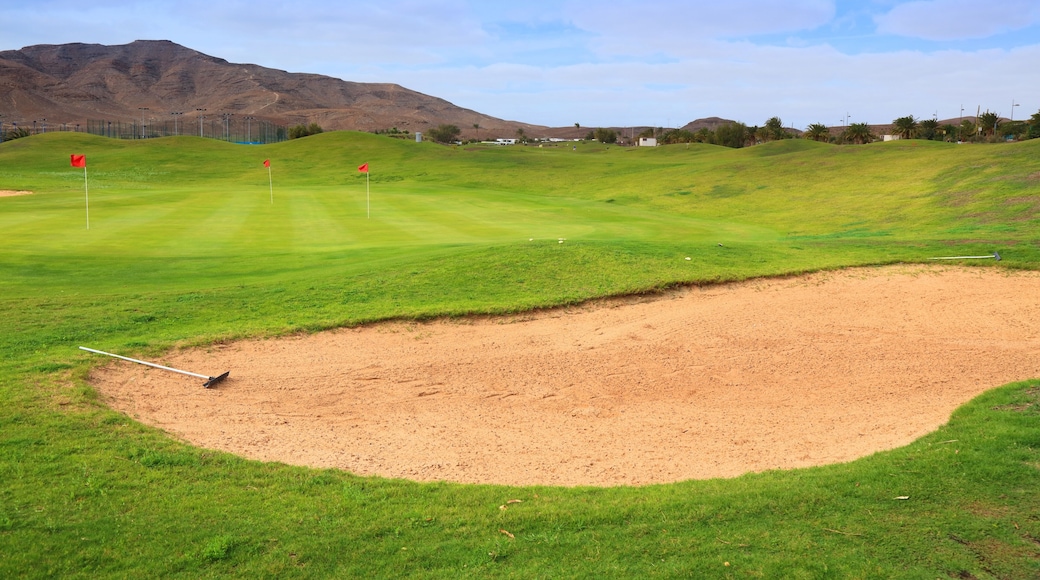 Fuerteventura Golf Course