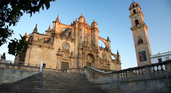 Catedral de Jerez ofreciendo una iglesia o catedral y elementos patrimoniales