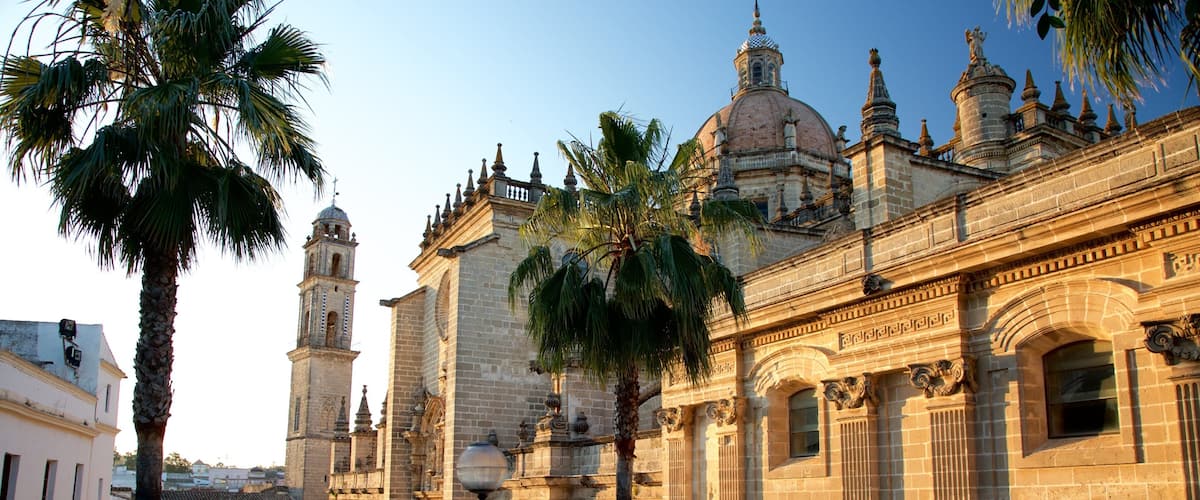 Catedral de Jerez ofreciendo escenas urbanas y una iglesia o catedral
