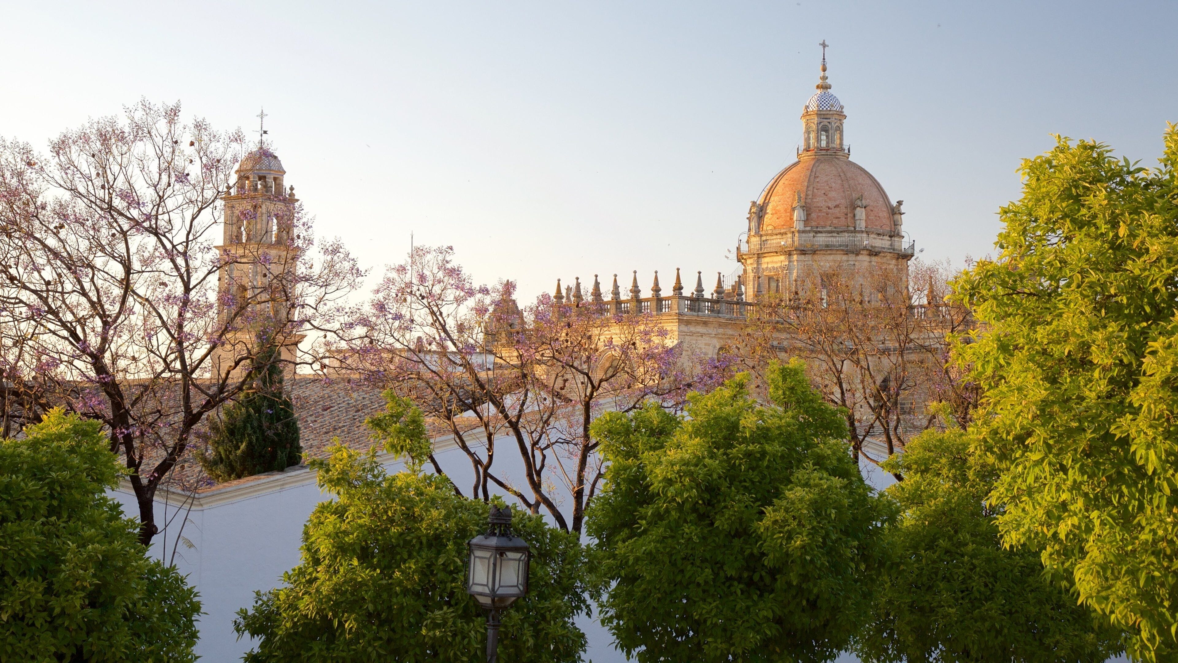 Cathédrale de Jerez