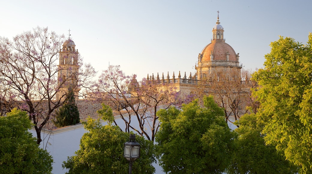 Cathédrale de Jerez