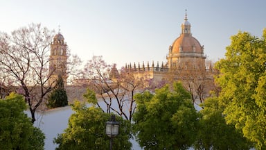 Kathedrale von Jerez