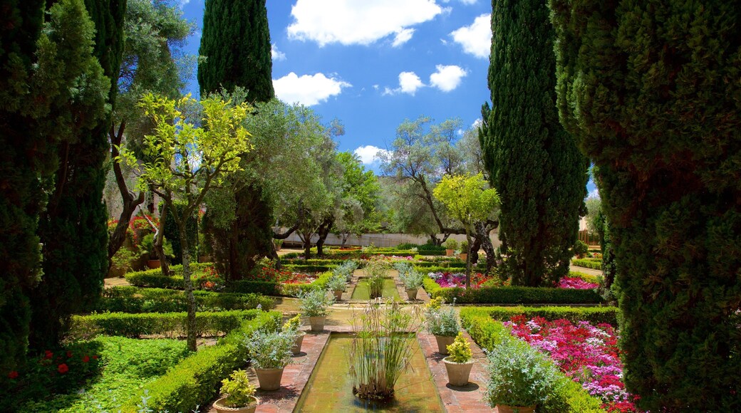 Jardines del Alcázar