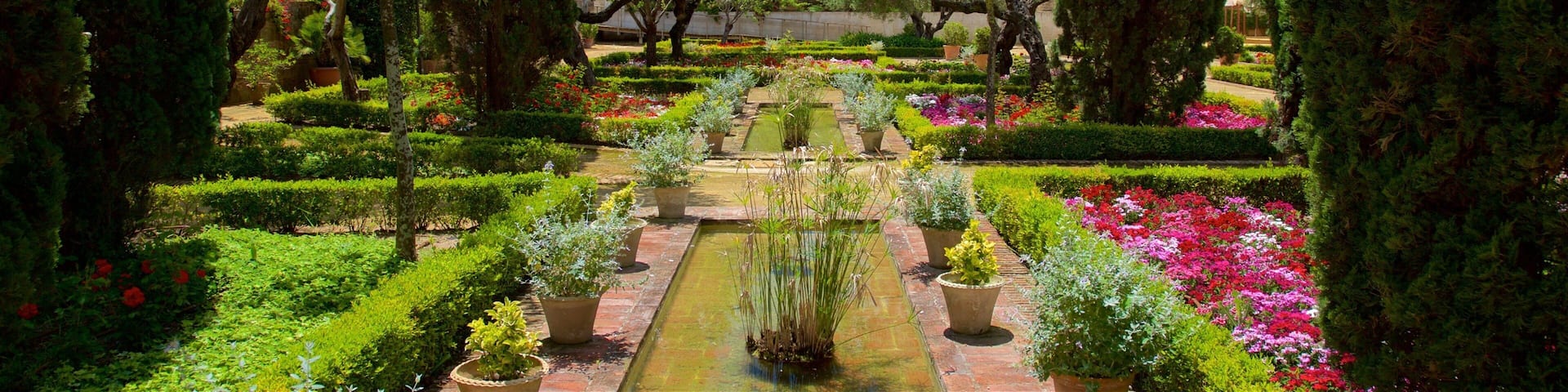 Alcazar Gardens