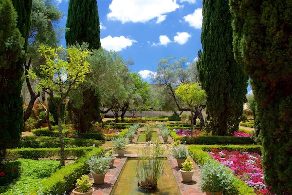 Giardini dell\'Alcazar caratteristiche di parco