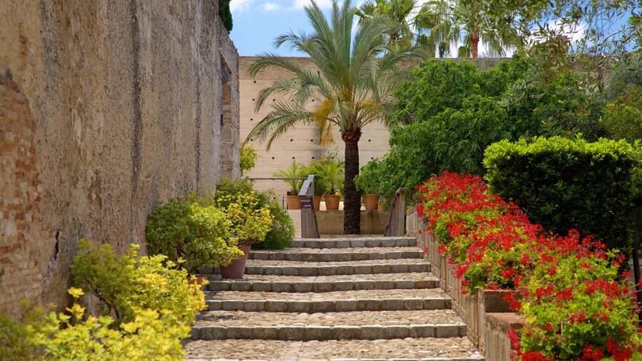 Tuinen van Alcázar toont een tuin