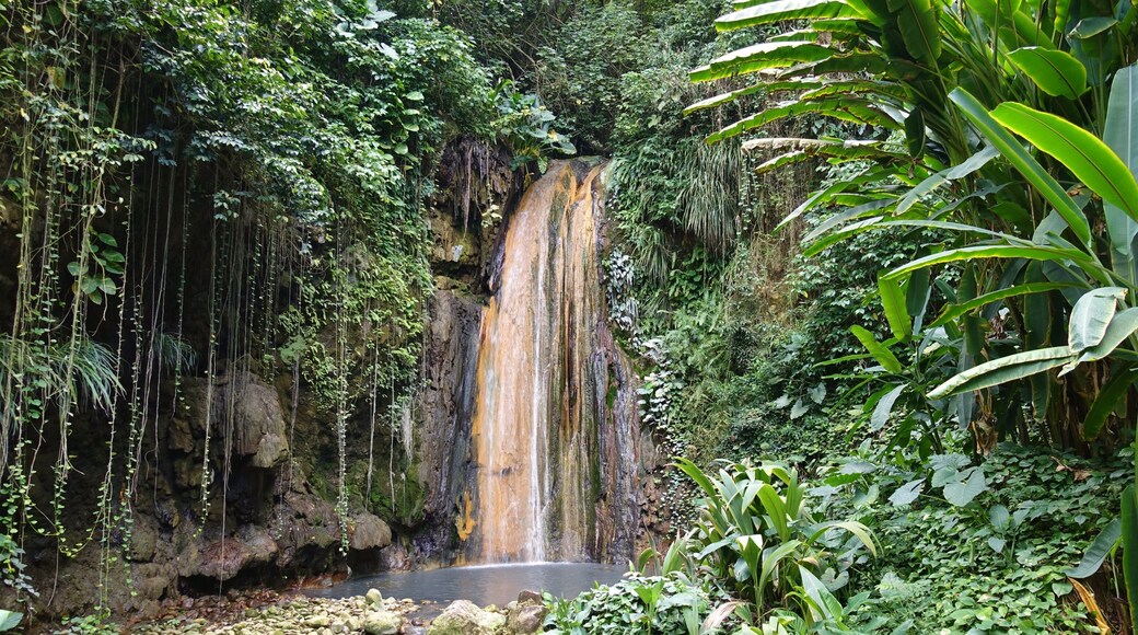 View of the Diamond Waterfall in the Diamond Botanical Gardens in St Lucia