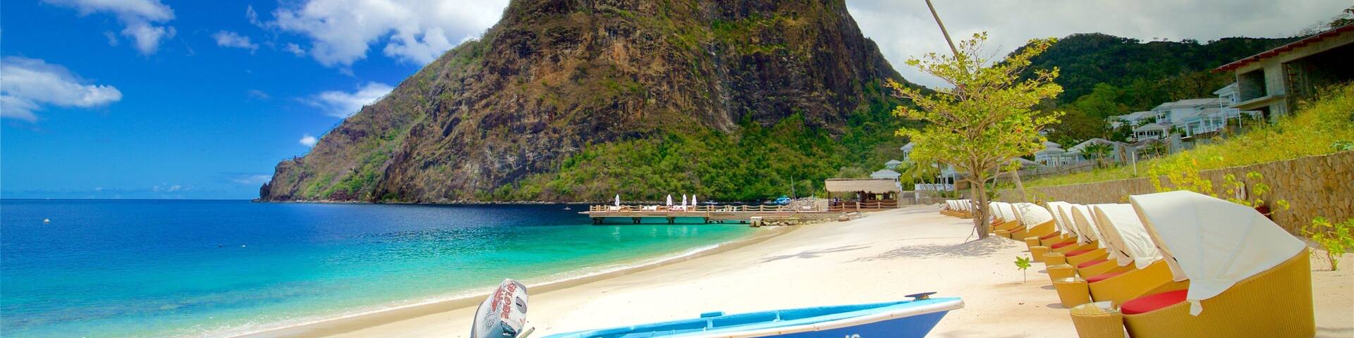 A beach with a large mountain, a palm tree, and a row of beach chairs.