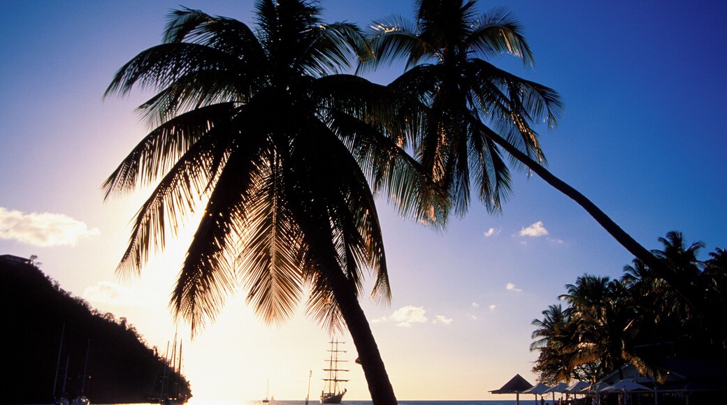 Sunset with palm tree on Marigot Bay, St. Lucia, West Indies