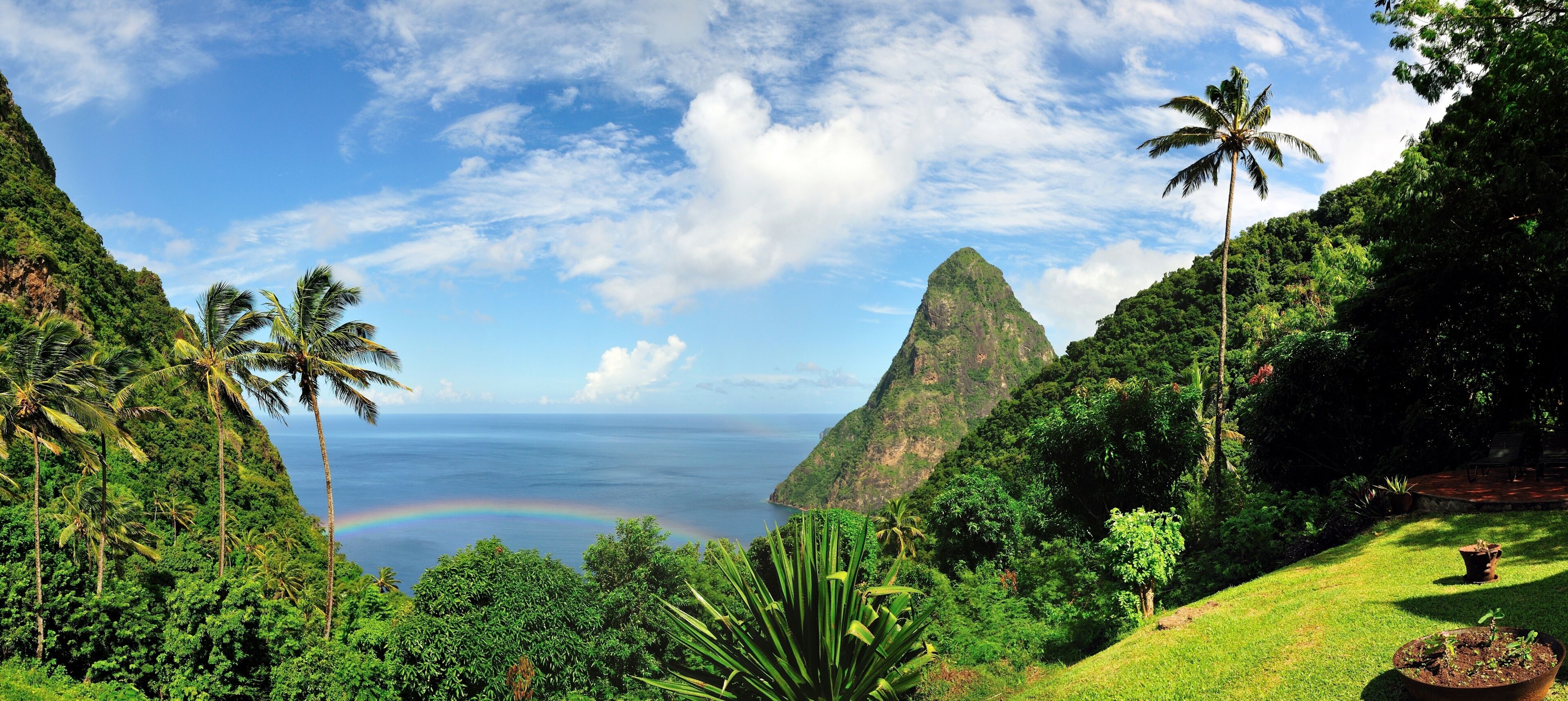 A lush landscape with a mountain, palm trees, and a rainbow over the ocean.