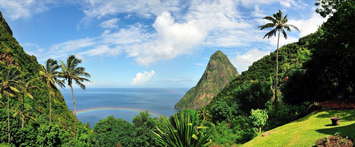 A lush landscape with a mountain, palm trees, and a rainbow over the ocean.