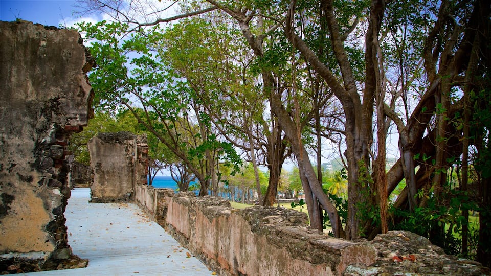 A pathway through an ancient stone structure surrounded by lush greenery and trees.