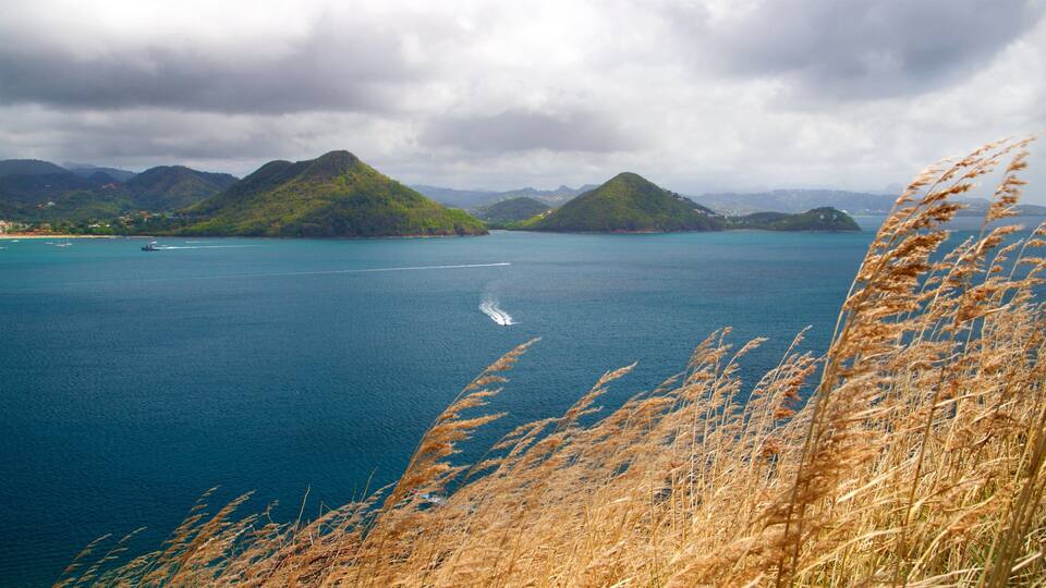 A coastal landscape with mountains, a body of water, and tall grasses in the foreground.