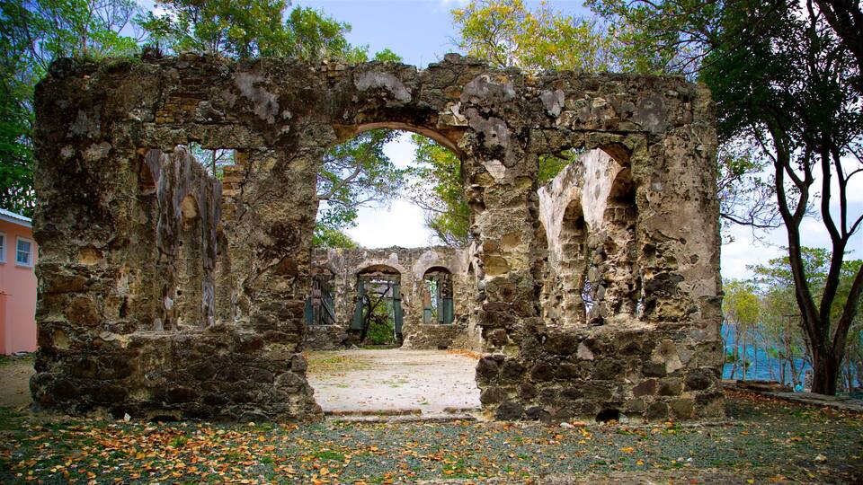 An ancient stone archway with overgrown vegetation, surrounded by fallen leaves.