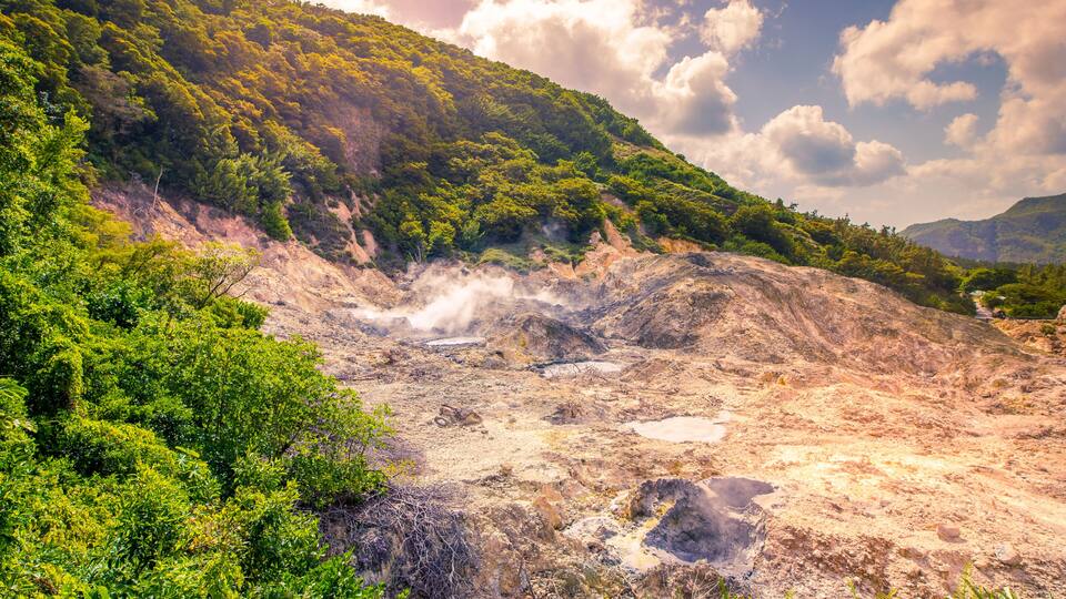 A geothermal area with steam vents, green vegetation, and a mountainous backdrop.