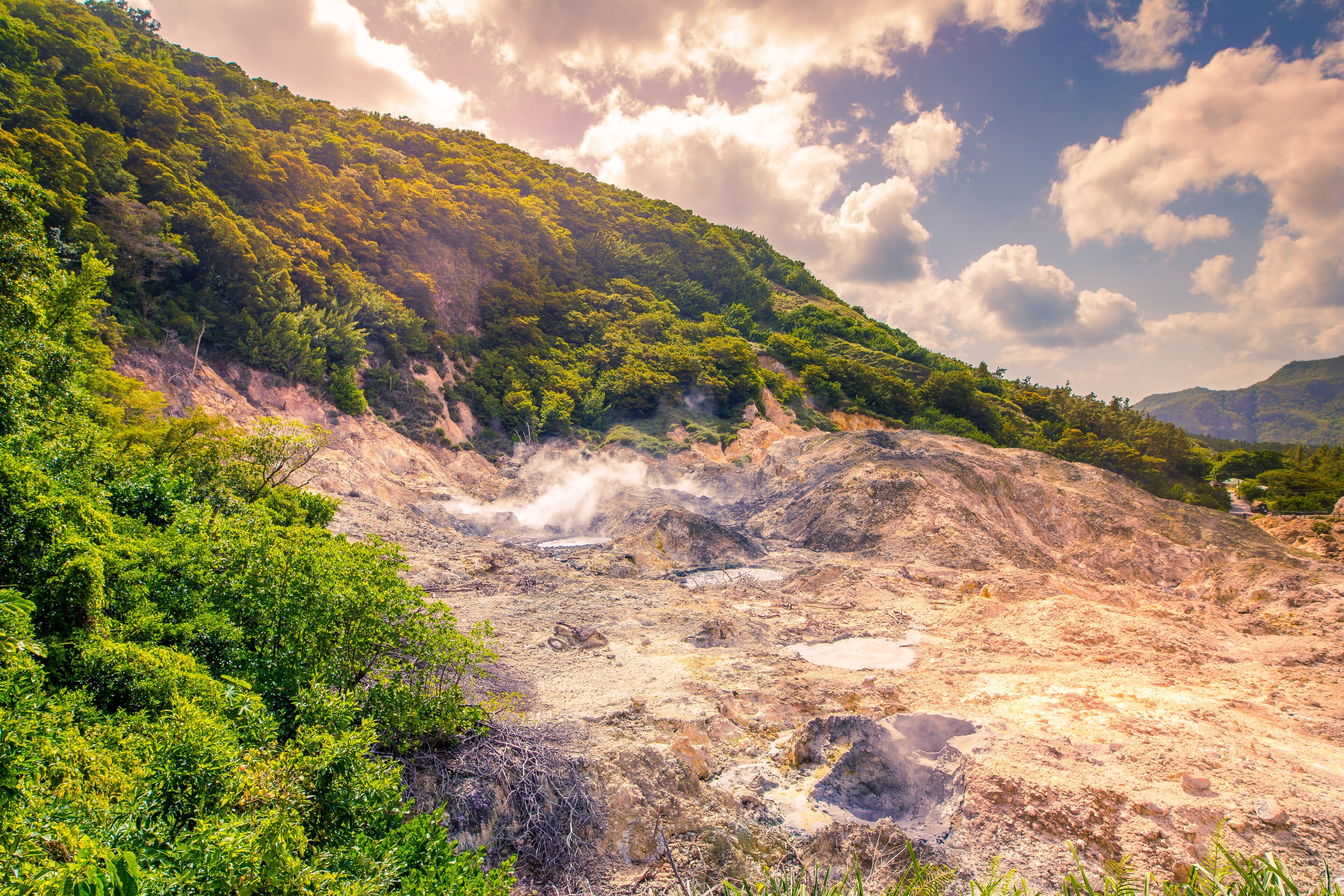 A geothermal area with steam vents, green vegetation, and a mountainous backdrop.