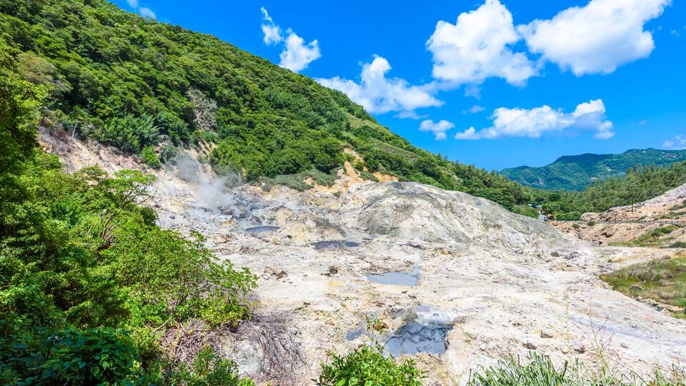 A geothermal area with steam vents, lush greenery, and a clear blue sky.