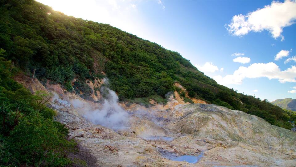 A geothermal area with steam vents, a forested hillside, and a clear sky.