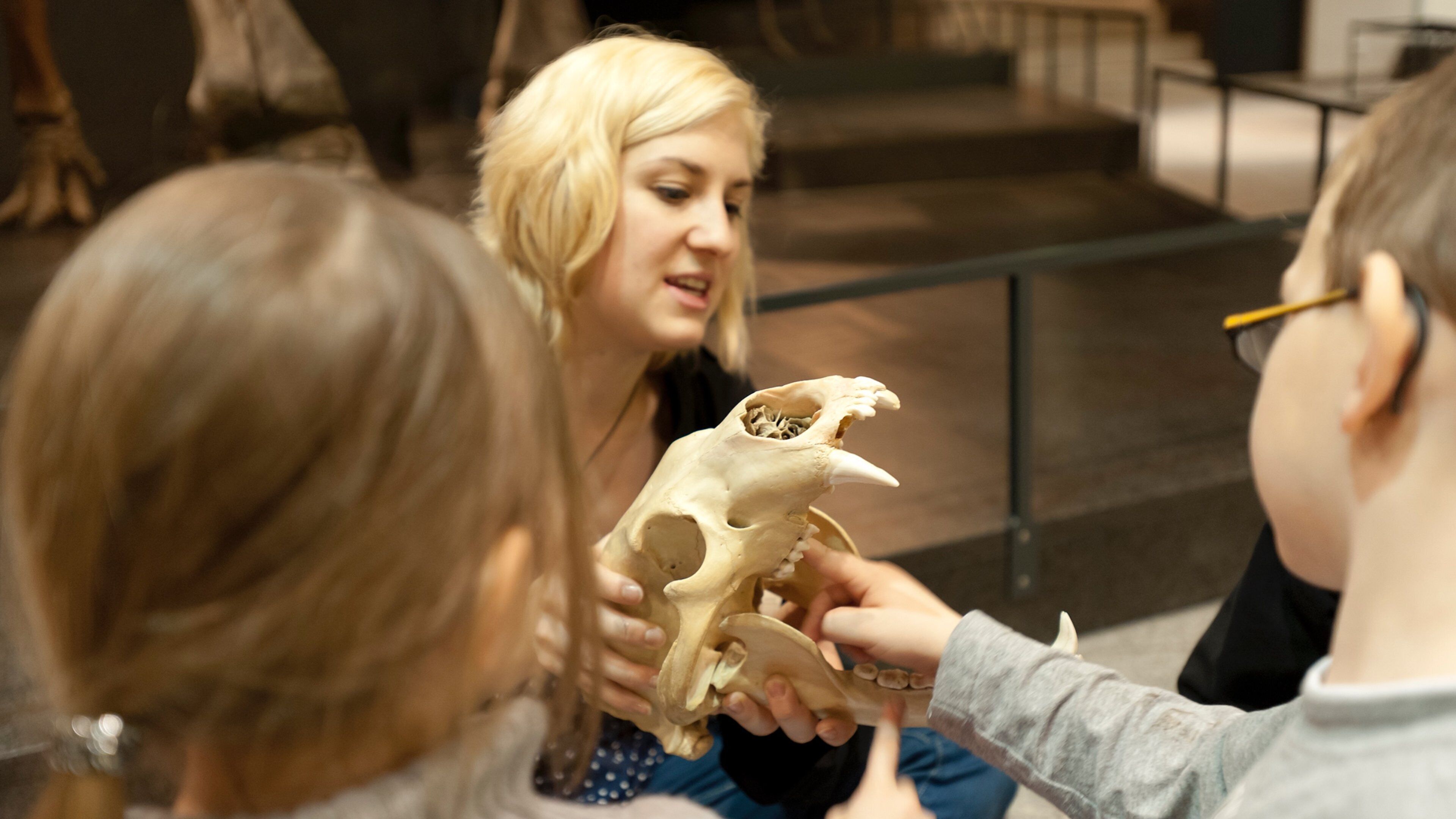 Zurich Zoological Museum which includes interior views as well as children