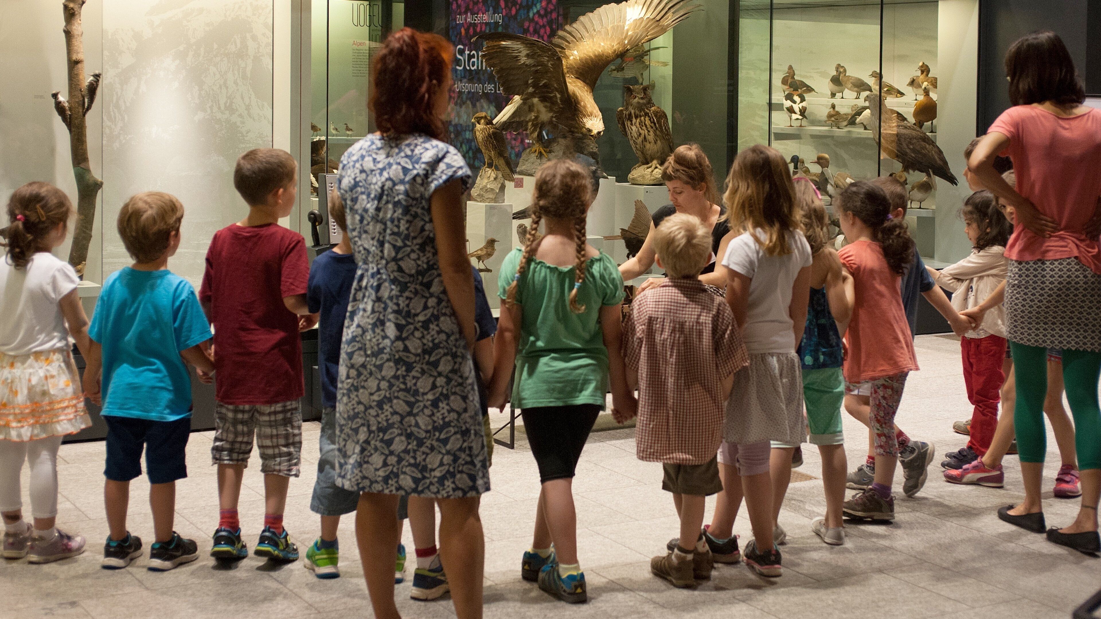 Zurich Zoological Museum which includes interior views as well as children
