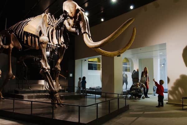 Zurich Zoological Museum which includes interior views and heritage elements as well as a family