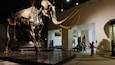 Museum Zoologi Zurich