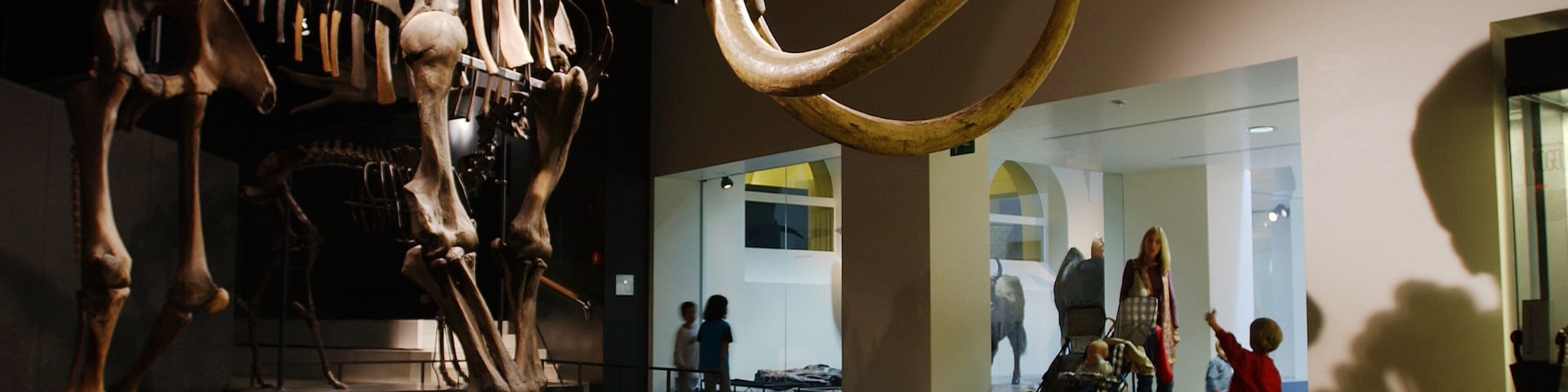 Museu ZoolĂłgico de Zurique que inclui elementos de patrimĂŽnio e vistas internas assim como uma famĂlia