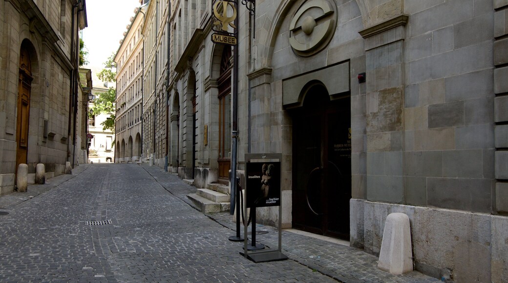 Museu Barbier-Mueller mostrando elementos de patrimĂŽnio e cenas de rua