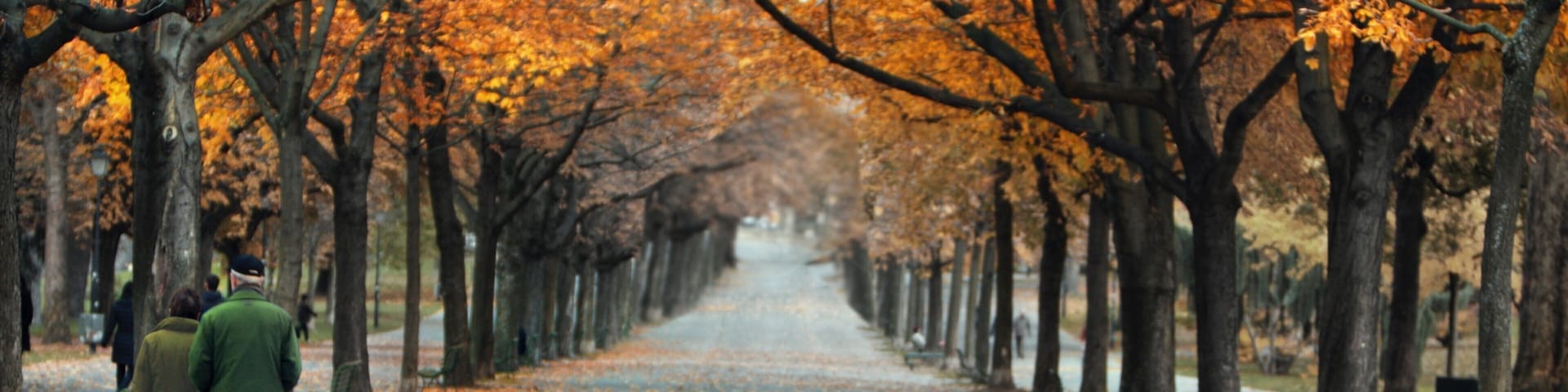 Autumn stroll through Bastions Park in Geneva showcases vibrant foliage and serene pathways