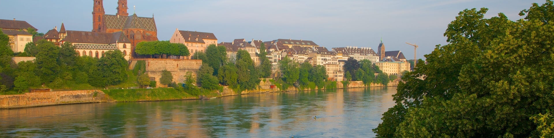 巴塞爾 呈现出 河流或小溪