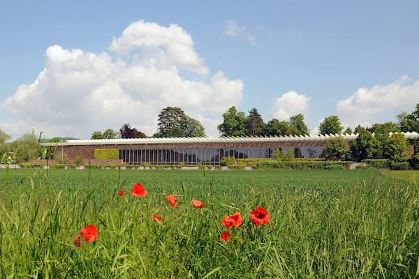 Ein modernes Gebäude mit Glasfassade, umgeben von einem üppigen Grünland und roten Klatschmohnblumen.