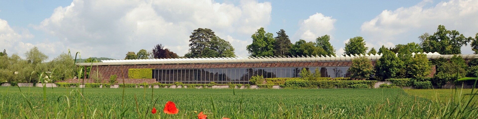 Fundación Beyeler ofreciendo granja, flores y imágenes de bosques