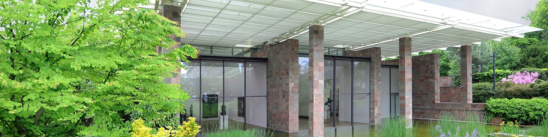 Beyeler Foundation showing flowers, a garden and modern architecture