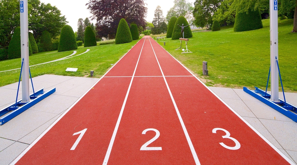 奥林匹克博物馆