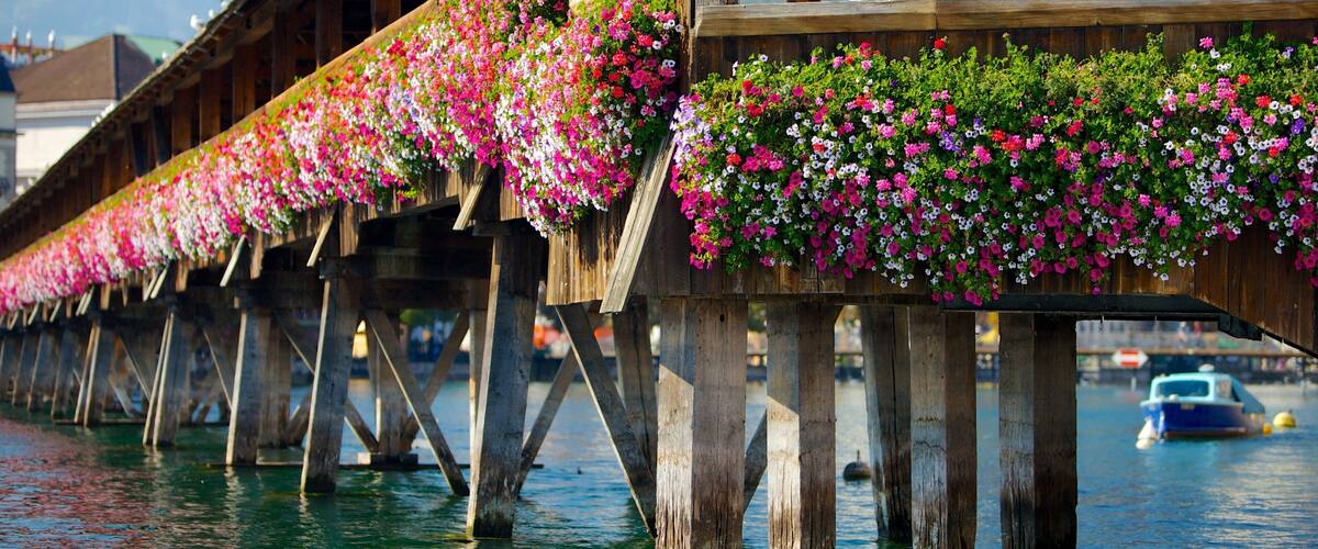 Chapel Bridge featuring flowers, a river or creek and a bridge