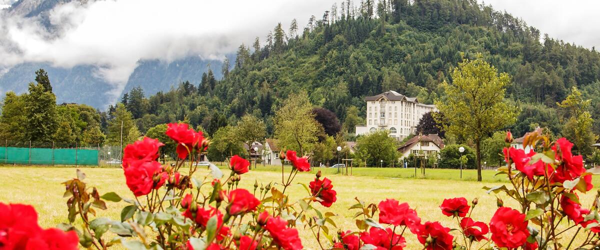 A rose garden in an open field in Interlaken with a view of hotel, house and mountains covered by clouds as a background