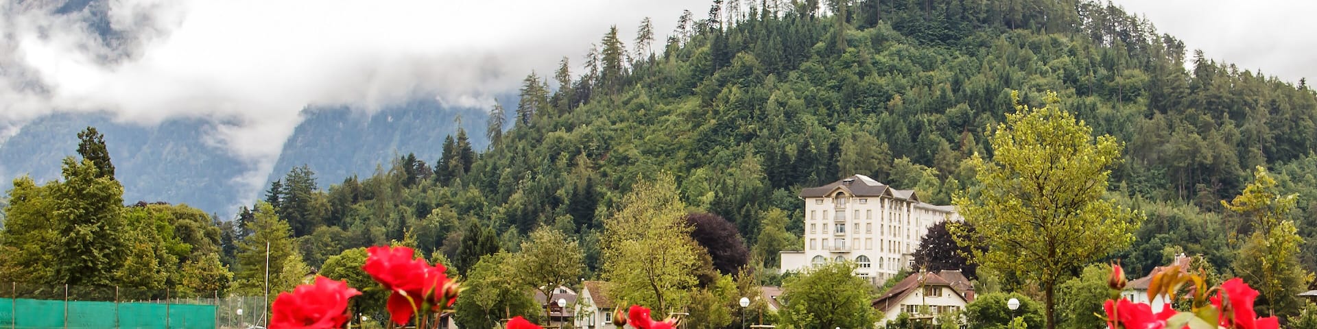 A rose garden in an open field in Interlaken with a view of hotel, house and mountains covered by clouds as a background