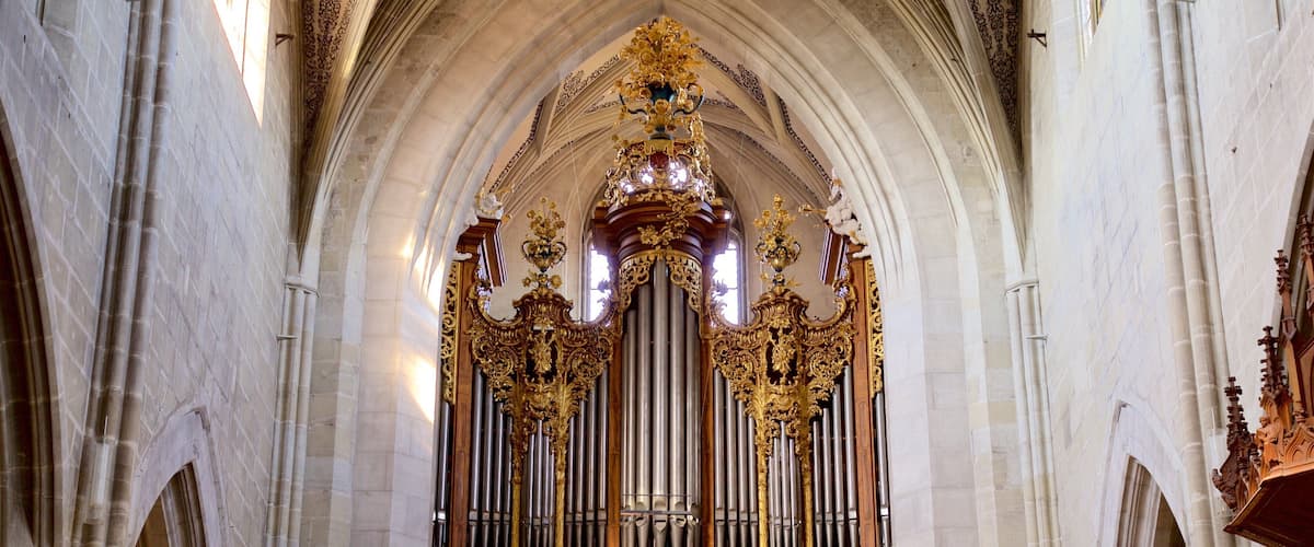 Berner Münster