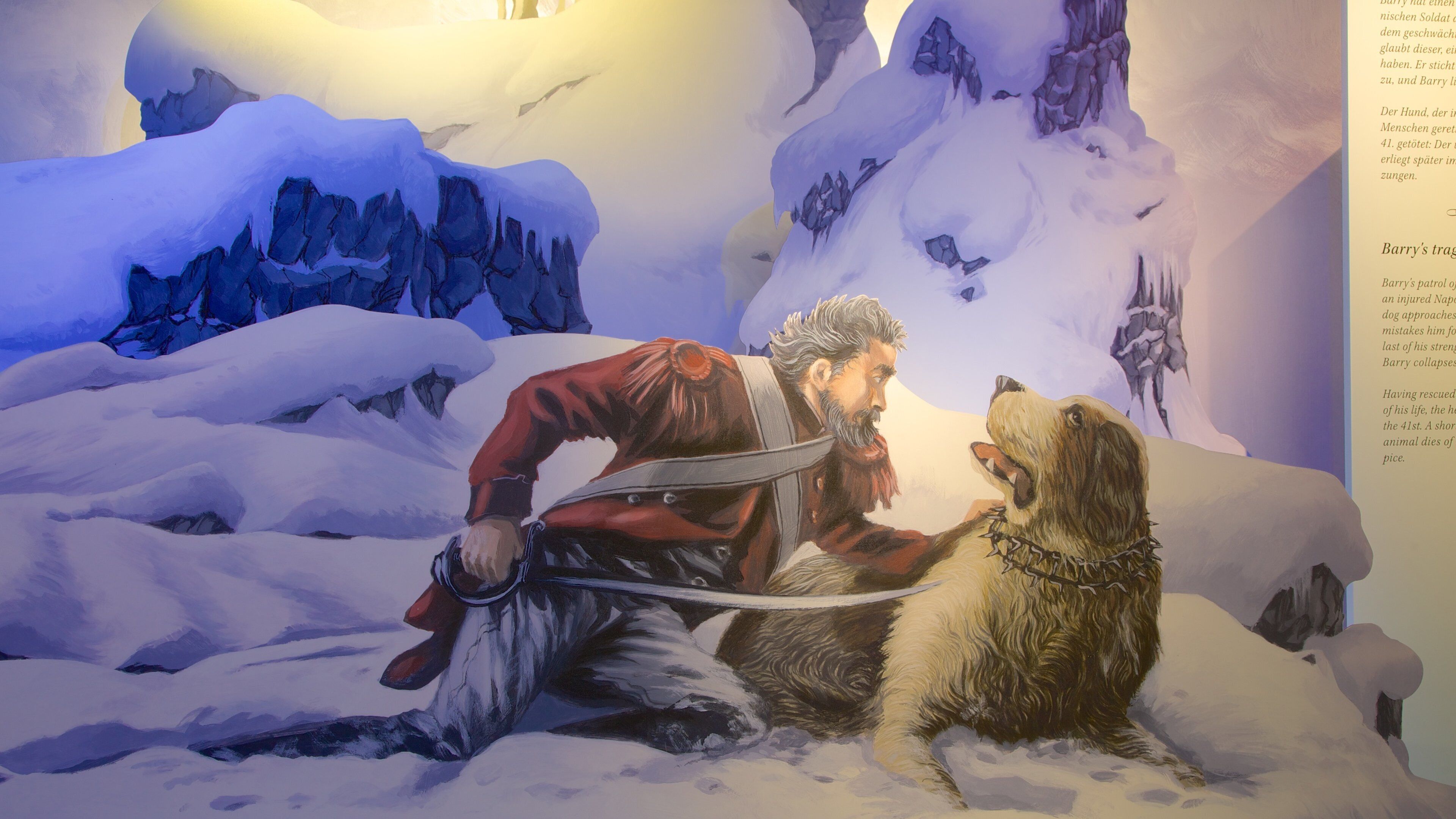 Bern Naturhistoriska Museet som visar interiörer