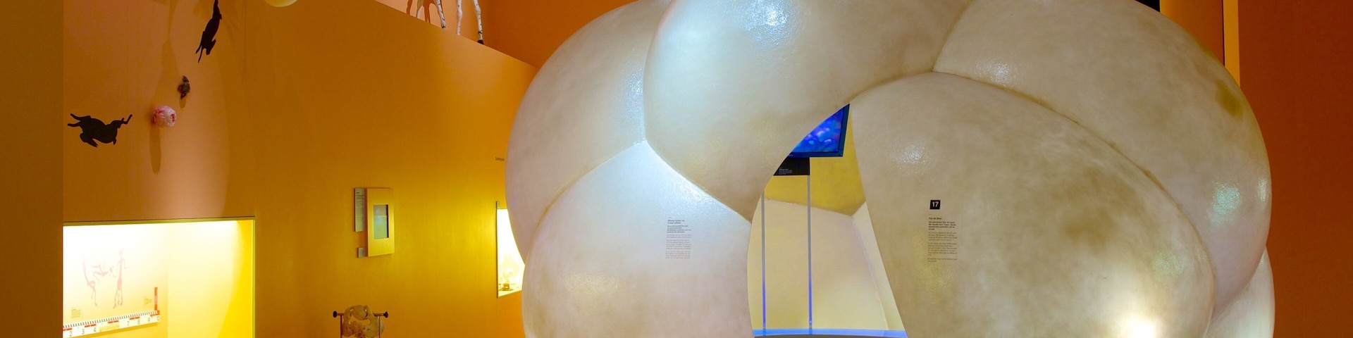 Bern Natural History Museum featuring interior views