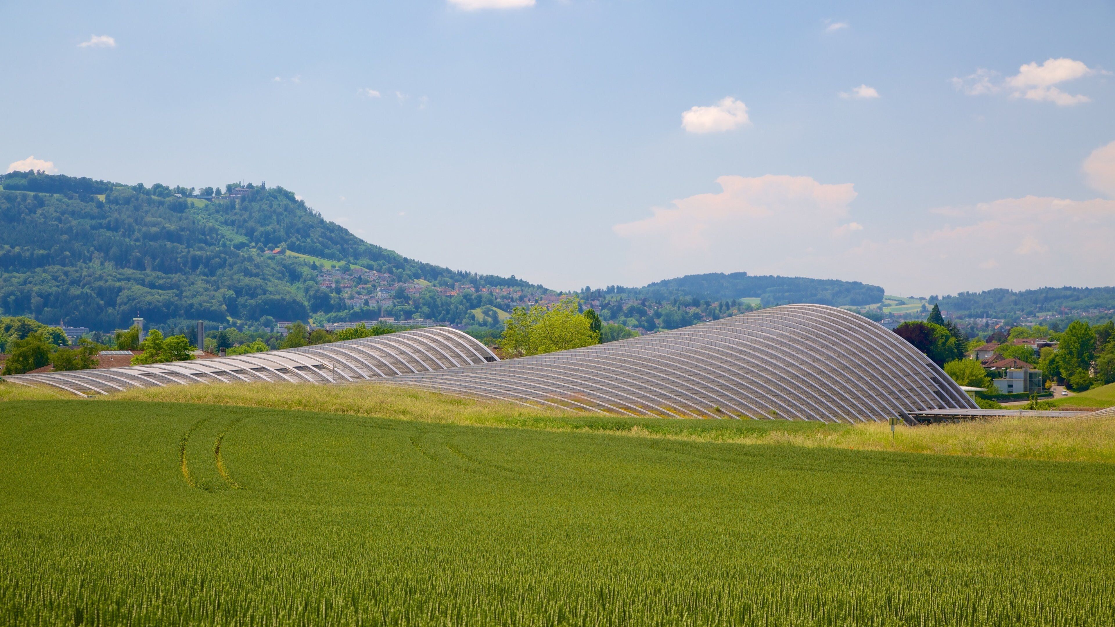Museu Paul Klee que inclui paisagem