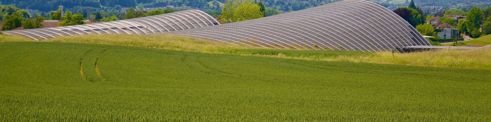 A green field with a large, curved greenhouse structure.