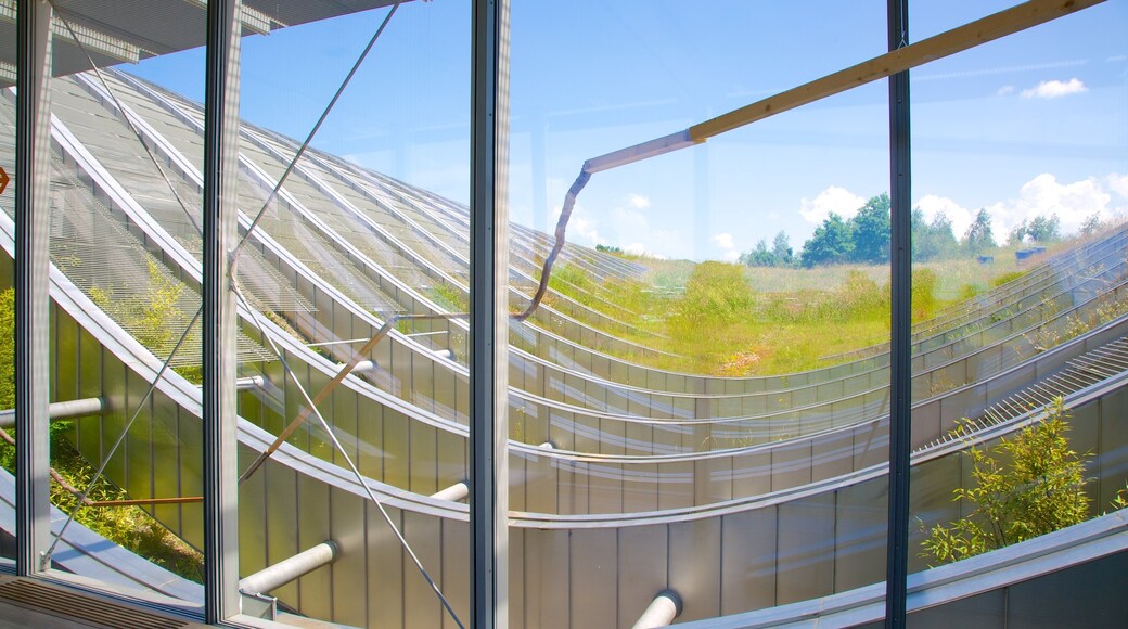 Paul Klee Museum which includes modern architecture and interior views