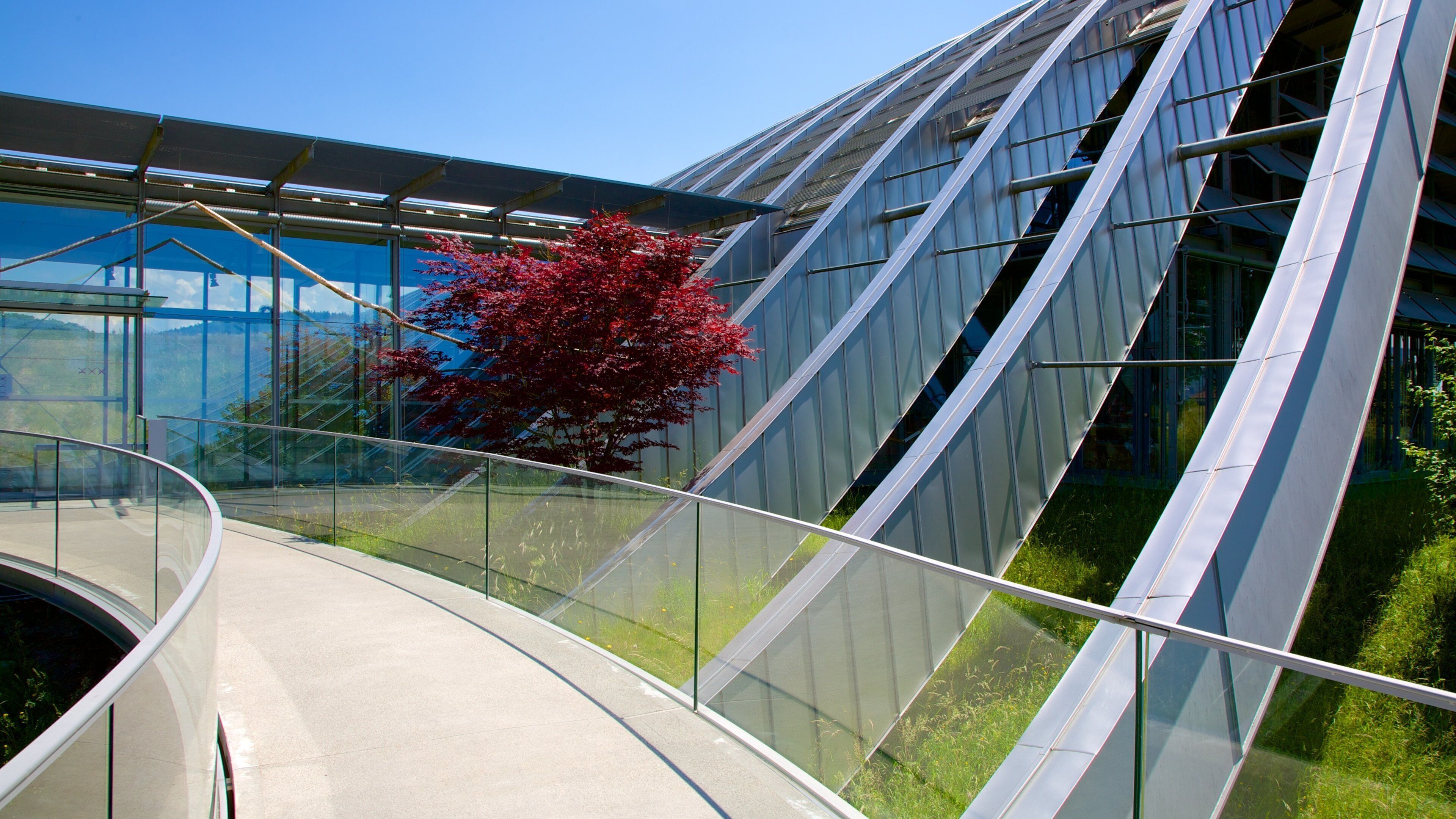 Paul Klee Museum showing modern architecture