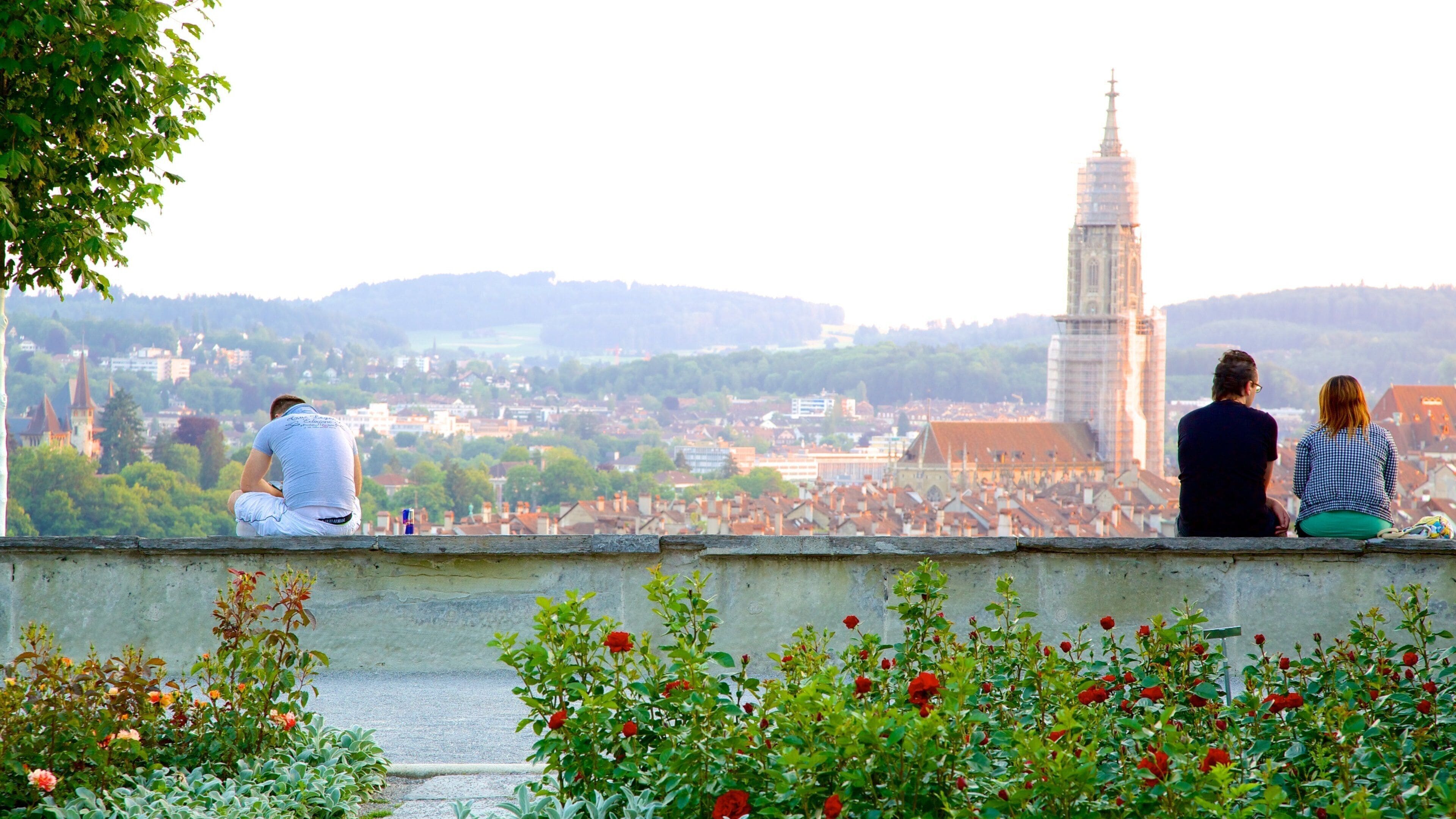 Bern Rose Garden in Kirchenfeld-Schosshalde - Tours and Activities