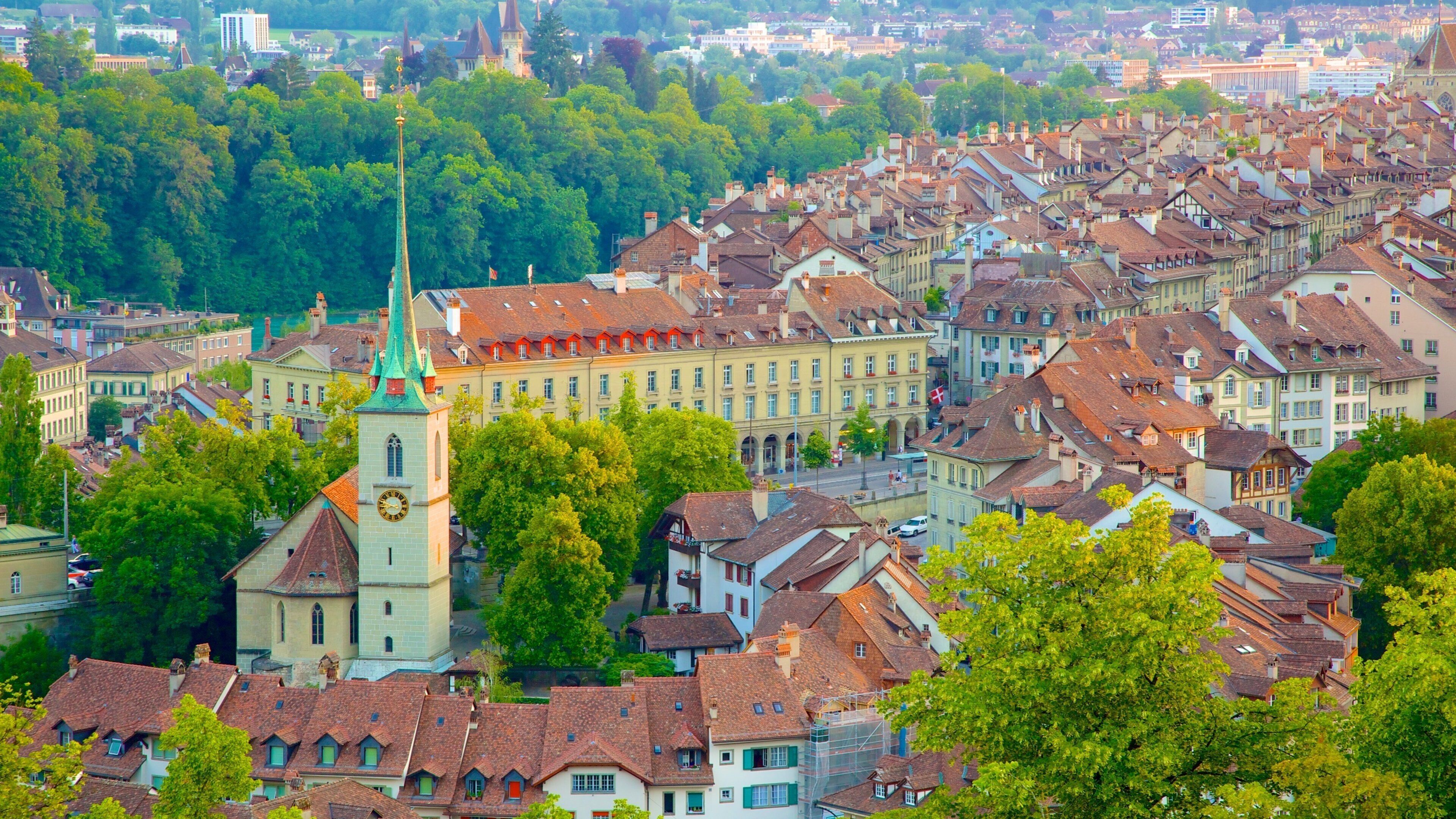 Bern Rose Garden featuring a city