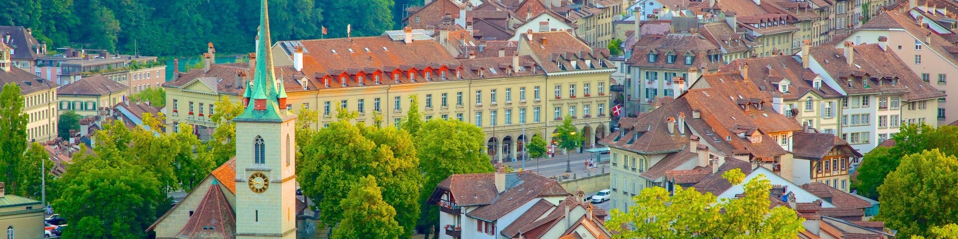 Bern Rose Garden featuring a city