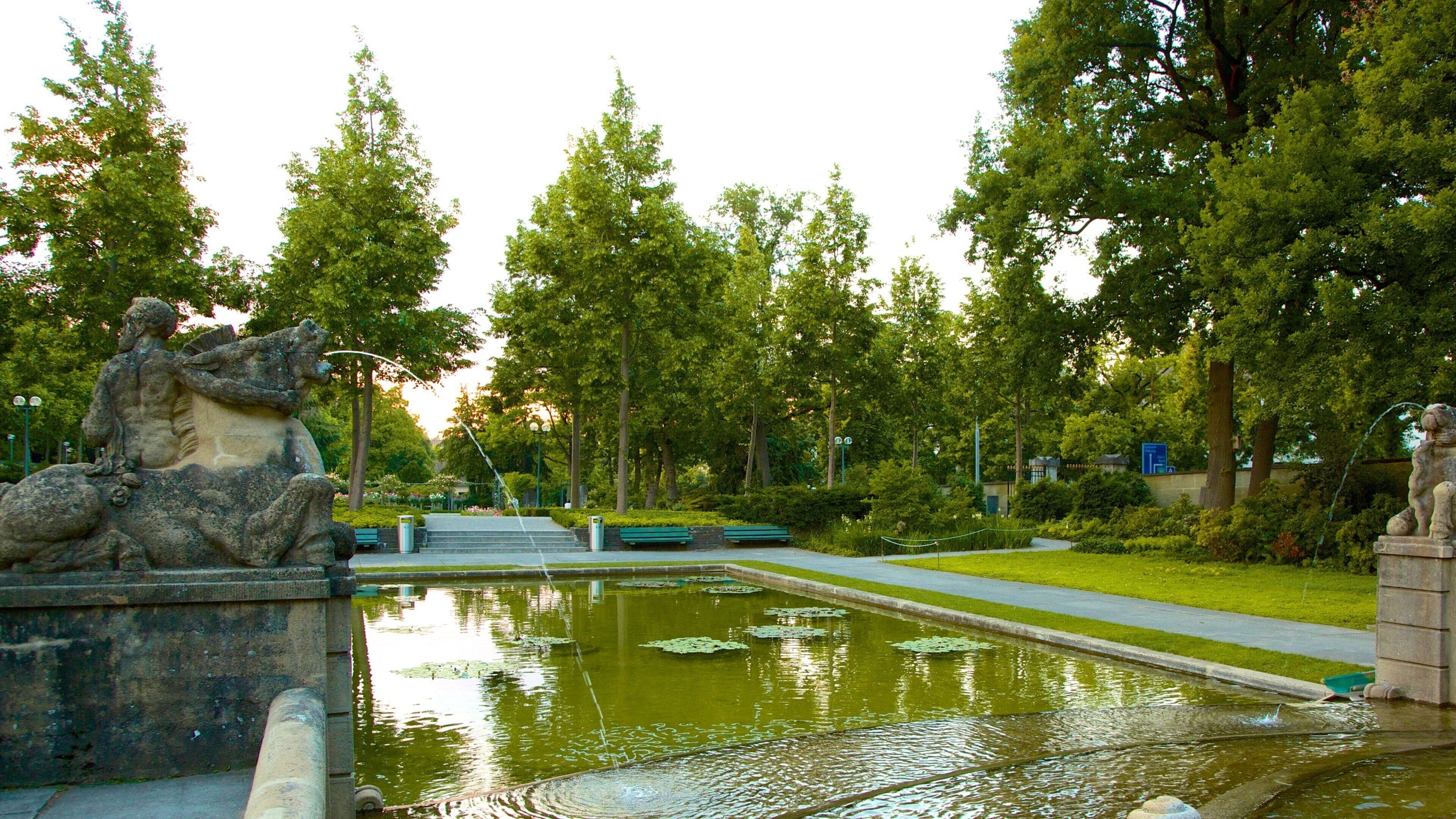Bern Rose Garden showing a garden, a fountain and a pond