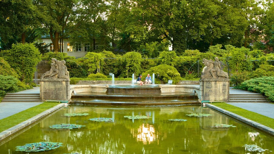 Bern Rose Garden which includes a fountain, a pond and a garden