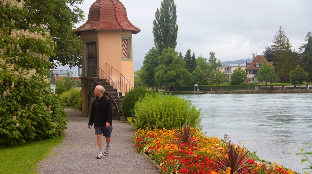 Schadaupark which includes a lake or waterhole as well as an individual male